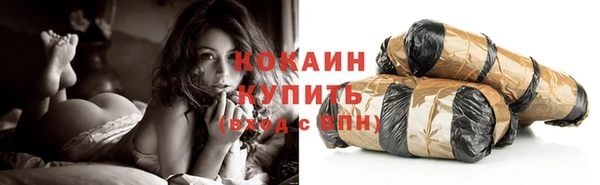 ГАЛЛЮЦИНОГЕННЫЕ ГРИБЫ Семёнов