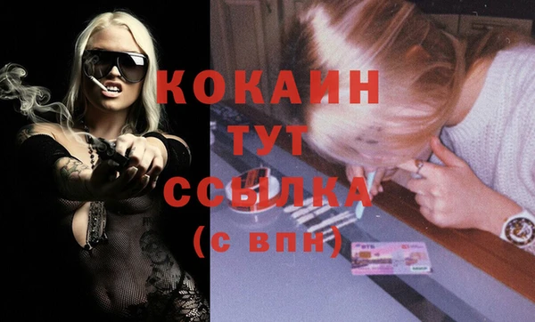 Альфа ПВП Верея