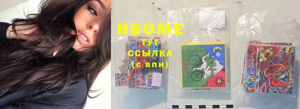 Альфа ПВП Верея