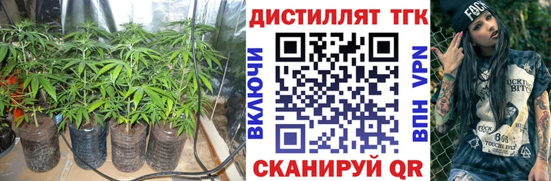 где купить   Дигора  ТГК гашишное масло 