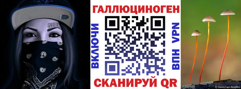 Псилоцибиновые грибы Psilocybe  Дигора 